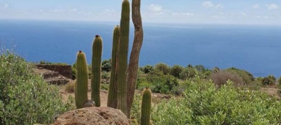 4غرفة منزل في Pantelleria, Italy رقم 49490 2