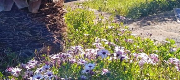 4غرفة منزل في Pantelleria, Italy رقم 49490 18