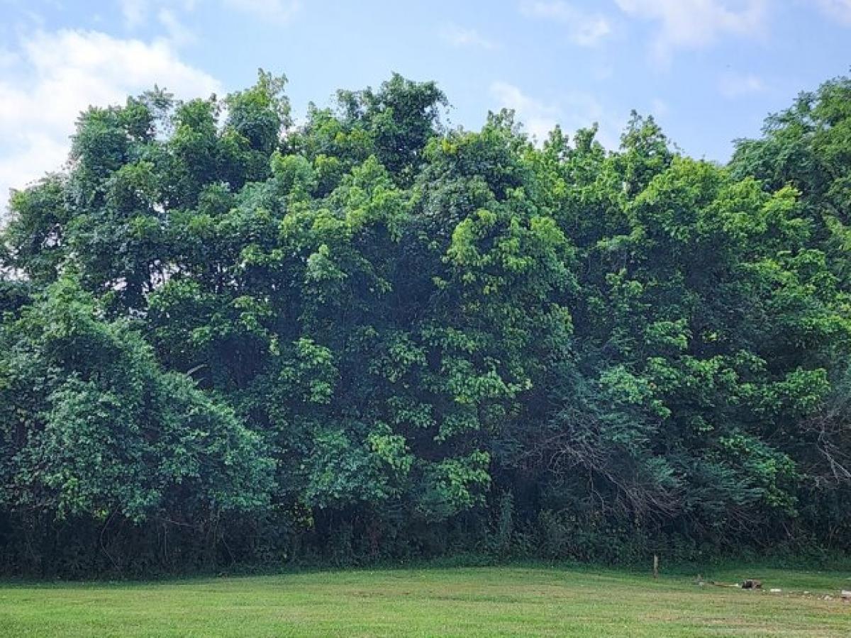  Land in Gainesboro, USA No. 535802