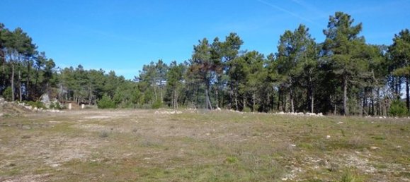 472m² Warehouse in Aguiar da Beira, Portugal No. 77179 3