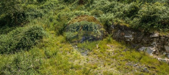 Casa de 1 dormitorio en Lanhoso, Portugal No. 37440 2