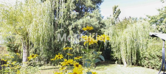 4 غرف نوم منزل في Barnim, Germany رقم 367214 12