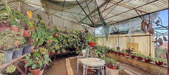 4 غرف نوم تاون هاوس في Machico, Portugal رقم 146156 3