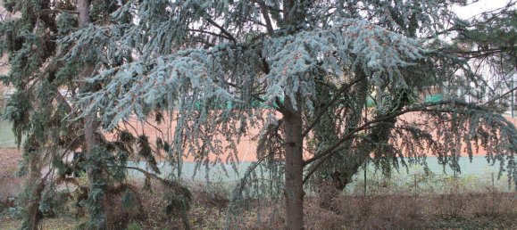 Casa de 2 habitaciónes en Vienna, Austria No. 251228 18
