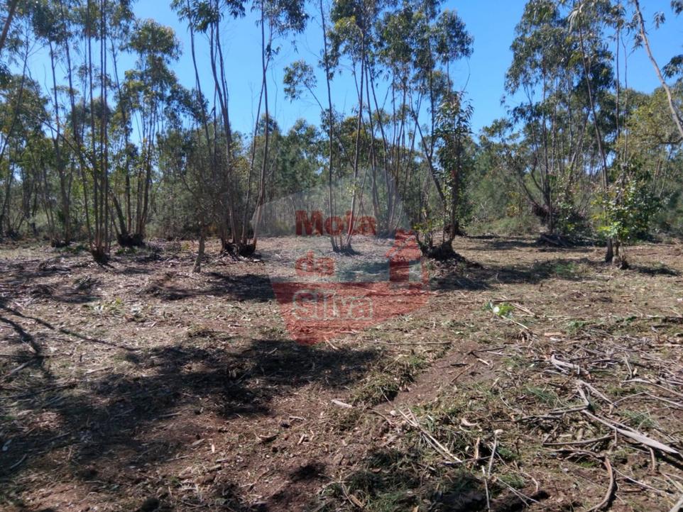 790m² Land in Grandola, Portugal No. 235026