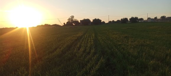 Terreno em Pachino, Italy 14000 m² N.º 67905 10