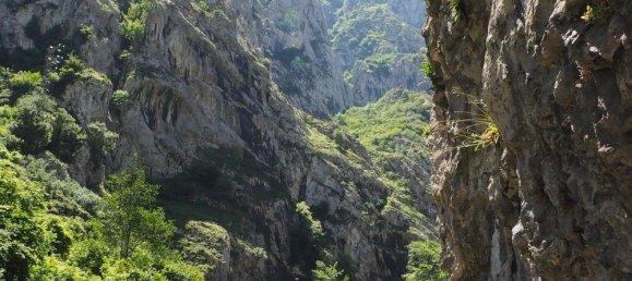 135 m² villa en venta en Teverga, Asturias, Principado de Asturias, Spain № 369993 26