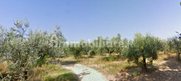 Земельный участок 41650м² в Москуфо, Италия № 270005 7