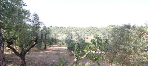 Земельный участок 41650м² в Москуфо, Италия № 270005 9