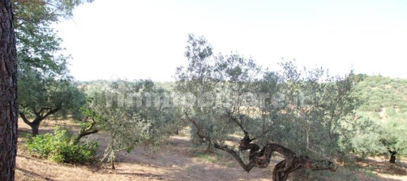 Земельный участок 41650м² в Москуфо, Италия № 270005 10