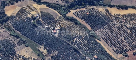 Земельный участок 41650м² в Москуфо, Италия № 270005 13