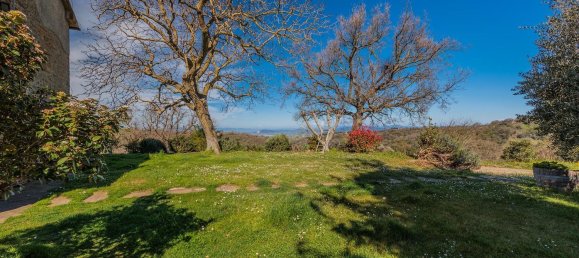 5 rooms House in Scansano, Italy No. 60276 13