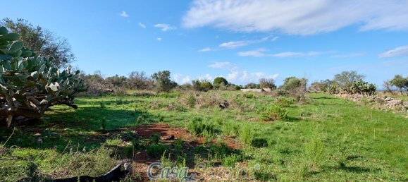 Земельный участок 5000м² в Matino, Италия № 237374 8