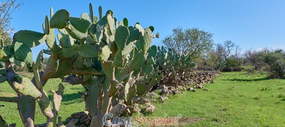 Земельный участок 5000м² в Matino, Италия № 237374 4