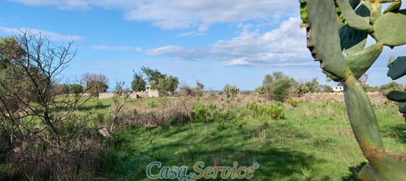 Земельный участок 5000м² в Matino, Италия № 237374 9