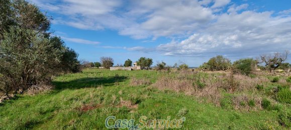 Земельный участок 5000м² в Matino, Италия № 237374 11