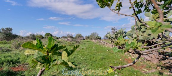 Земельный участок 5000м² в Matino, Италия № 237374 7