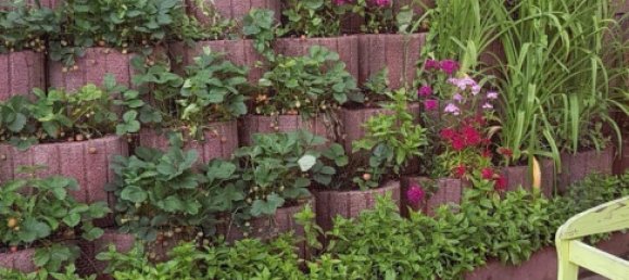 Terrain à Esslingen, Germany No. 291594 3