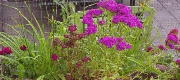 Terrain à Esslingen, Germany No. 291594 2