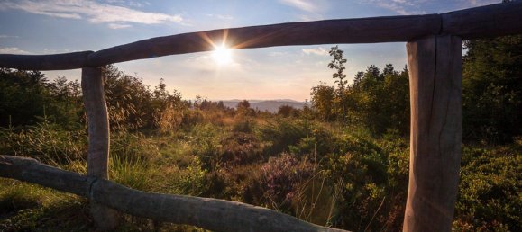 Apartamento de 1 dormitorio en Hochsauerlandkreis, Germany No. 262881 18