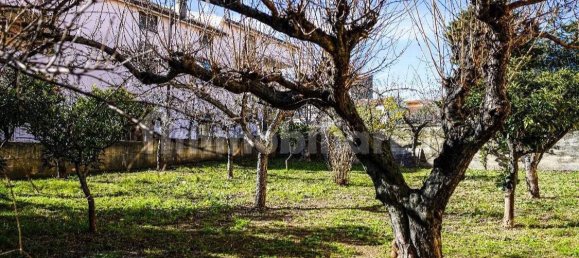 5 rooms Building in Portocannone, Italy No. 251025 9