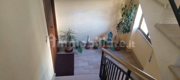 5 rooms Building in Portocannone, Italy No. 251025 5