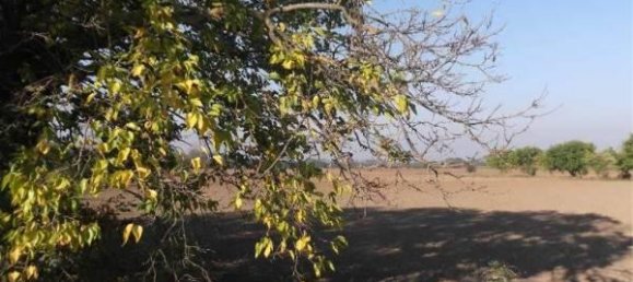 6000m² Land in Piacenza, Italy No. 29861 2