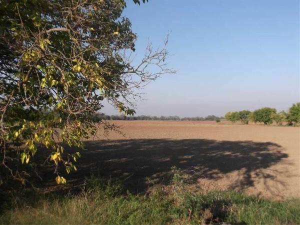6000m² Land in Piacenza, Italy No. 29861