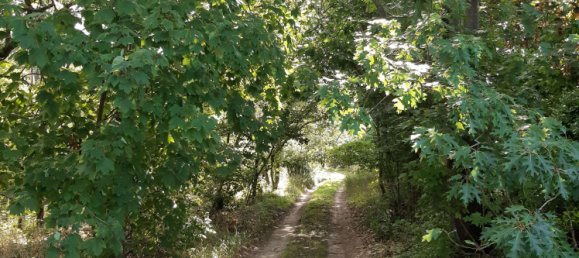 Terreno en Uckermark, Germany No. 313136 6