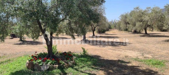 3 bedrooms House in Sardinia, Italy No. 290017 16