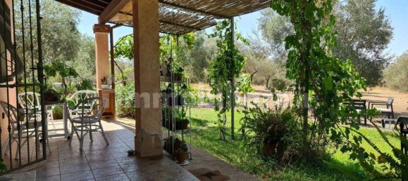 3 bedrooms House in Sardinia, Italy No. 290017 15