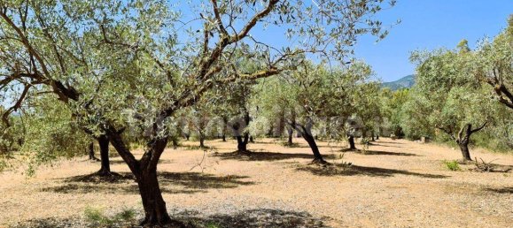 3 bedrooms House in Sardinia, Italy No. 290017 18