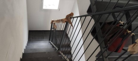 13 rooms Villa in Parma, Italy No. 39372 16