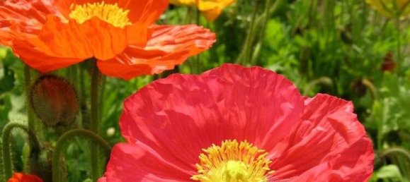 2غرفة شقة في Essen, Germany رقم 9021 18