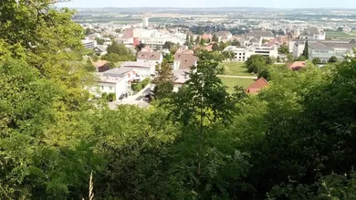  Land in Eisenstadt, Austria No. 109442