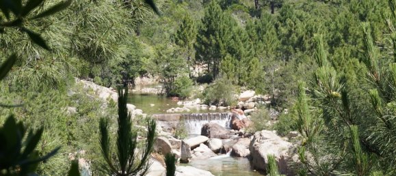 Apartamento de 1 dormitorio en Zonza, France No. 81647 5