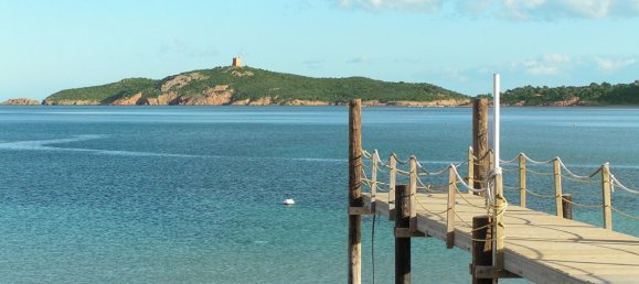 Apartamento de 1 dormitorio en Zonza, France No. 81647 6