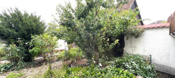 10 rooms House in Hausleiten, Austria No. 245997 14