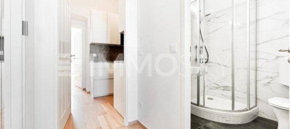 Studio in Brigittenau, Austria No. 243708 5