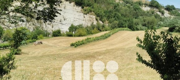 Terrain à Bagno di Romagna, Italy 100000m² No. 66853 4