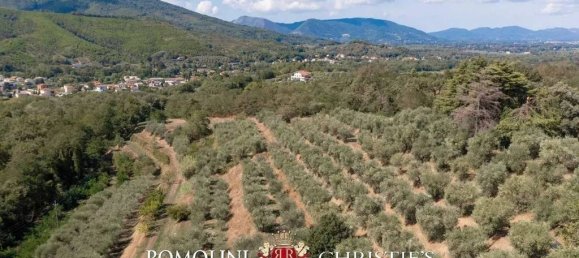 12 bedrooms Villa in Lucca, Italy No. 155993 27