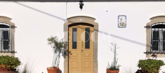 4 bedrooms House in Sao Bras de Alportel, Portugal No. 128347 8