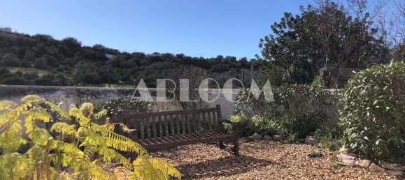 4 bedrooms House in Sao Bras de Alportel, Portugal No. 128347 22