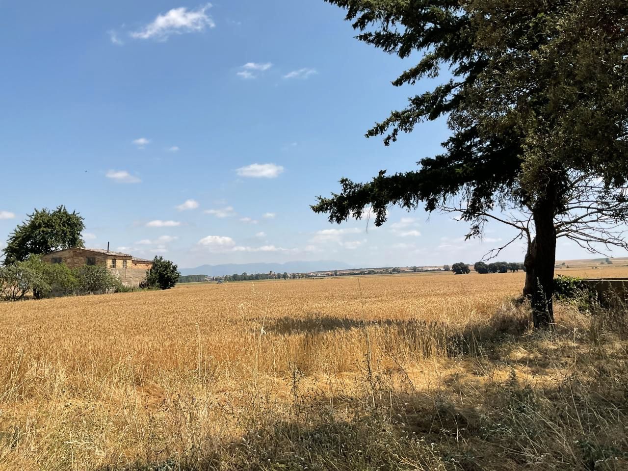 Grundstück in La Rioja, Spain 183021m², Nr. 175898