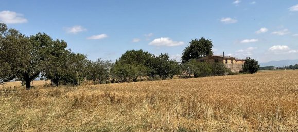 Grundstück in La Rioja, Spain 183021m², Nr. 175898 3