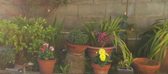 7 rooms House in Carrara, Italy No. 50531 35