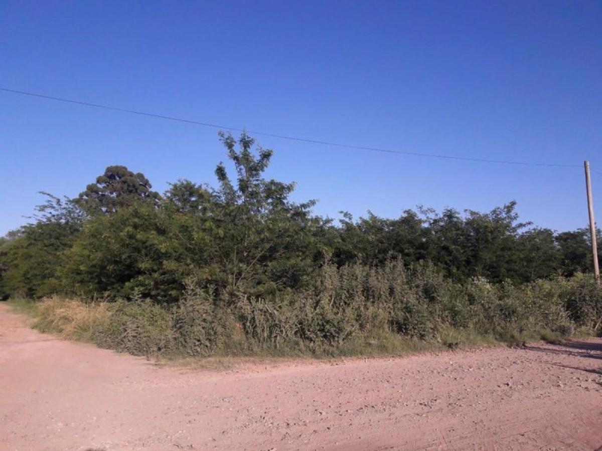  قطعة أرض في Buenos Aires, Argentina رقم 118018