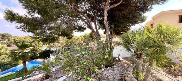 6 bedrooms Villa in Torrevieja, Spain No. 189207 40