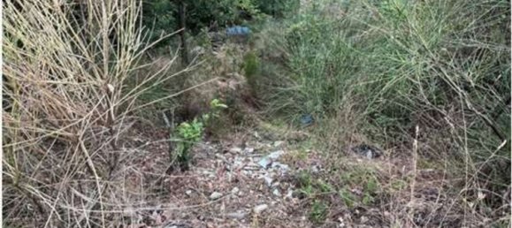 4 bedrooms House in Vernio, Italy No. 323728 6