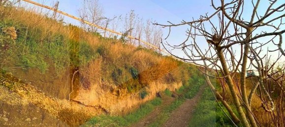 Land in Naples, Italy No. 22031 3